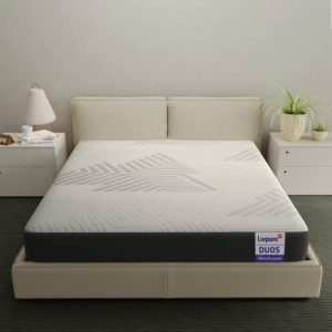 Livpure Smart Duos Reversible HR Foam Mattress |3D Sleep Zones| Manufactured with Dow ComfortScience | Premium Certified Fabric | EGAPA Purifying Filter | Double 72x48x5 inches, Removable Zipper Cover