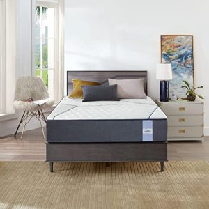 Springtek Memory & Bonded Foam, Spine Support Orthoapedic 6 Inches King Size Mattress (Multi, 78X72X6)