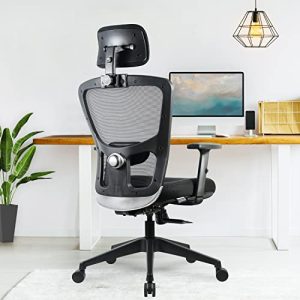 Green Soul® Jupiter Go Office Chair, High Back Mesh Ergonomic Home Office Desk Chair with Height Adjustable Armrests, 2D Adjustable Lumbar Support, Smart Synchro Multi-Tilt Lock Mechanism & Nylon Base…