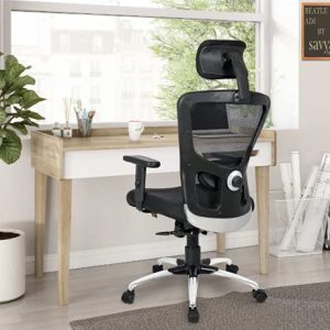 SAVYA HOME Beatle High Back Ergonomic Office Chair with Adjustable Arms and 2D Lumbar Support (Ergonomic Meshback) (Black)