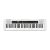 Casio CT-S200 Casiotone 61-Key Portable Keyboard with Piano tones, White