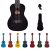 Kadence Concert Ukulele 23″ Spring Summer Collection of Ukuleles- fluorocarbon strings, matt finish with Strap & Bag