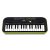 Casio SA-46 32 Mini Keys Musical Keyboard with Piano tones, Black/Green