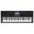 Casio CT-X870IN 61-Key Portable Keyboard with Piano tones, Black