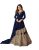 Miss Ethnik Women’s Faux Georgette Semi Stitched Top With Stitched Faux Georgette Bottom and Nazmin Dupatta Embroidered Flared Top Dress Material (Lehenga) (1050)