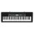 Casio CTK-2550 61-Key Portable Keyboard with Piano tones, Black