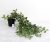 Heart Home Artificial Vine Plants with Pot|Natural Look & Plastic Material|Easy Home Décor with Small Size Pot|Size 27 x 75 x 7 CM, Pack of 1 (Green)