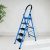 Plantex Premium Steel Foldable 5-Step Ladder for Home – Wide Anti Skid Step Ladder (Blue & Black)