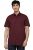 Allen Solly Men’s Slim Fit Shirt (ASSHQSPPX32165_Maroon