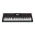 Casio CT-X8000IN 61-Key Portable Keyboard with Piano tones, Black